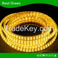 SMD3014 220V Double row LED strip light