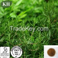 100% Natural High-Temperature Resistance and Strong Anti-Oxidation Rosemary Extract