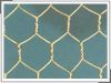Hexagonal wire mesh