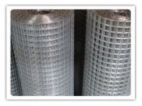 Welded Wire Mesh