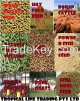 QUALITY CATTLE /POULTRY FEED, SEEDS , LAY MASH FEED FOR EXPORT