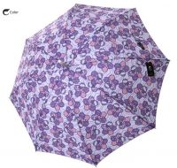 60/J10 PG digital printing automatic umbrella