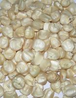 White maize