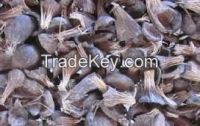  Palm Kernel Shell (PKS) from Africa 
