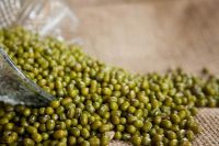 Good quality green mung beans for export