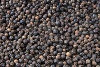 High Quality Black pepper 550 and 500 GL