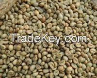 Robusta Coffee Beans