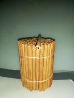 Ceylon Cinnamon Alba Special Cut 