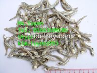 Dried anchovy