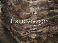 Dry and Wet salted Cow hides  [Cow hides] 