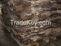 Dry and Wet Salted Donkey,Bufallo and Cow Hides