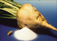 Beet Sugar ICUMSA 45 EU CAT. II