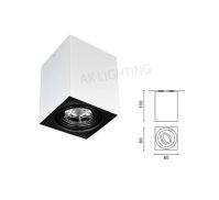 AK-1008S Claasical Iron mounted housing ceiling downlight hot sale