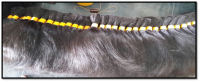 Processed Human Hair Indian Origin 