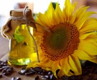 Crude Sunflower Oil