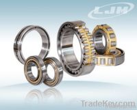 High precision double row cylindrical roller bearing NN series