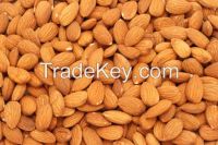 RAW NATURAL ALMOND NUT FOR SALE