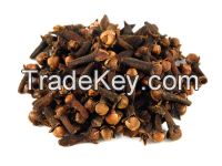 Clove Seeds For sale Wholesale organic cloves