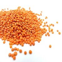 Certified red canadian Lentils