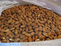 Top Quality Raw Almond Nuts / Kernels with shell and Without shell.