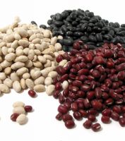 Big Size Dried Dark Red Kidney Beans for sale