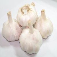 wholesale white fresh garlic with mesh bag packing