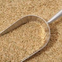 Best Selling Long Grain Brown Rice