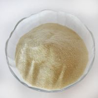good quality protein with low ash for Poultry feed