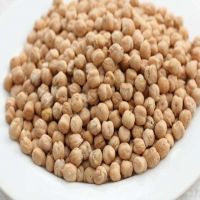 Best Quality Healthy Dried White Kabuli Chickpeas White Chana 12 MM Size 42/44