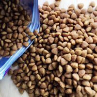 Delicious Wholesale and Bulk Dry Pet Cat Food 