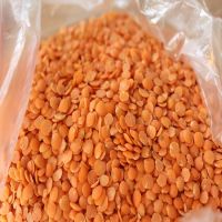 Quality Whole and Split Red Lentils 