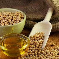 Soya bean oil for sales 