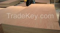 Vietnam Plywood for commercial 