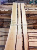 AA Quality White Birch Timber