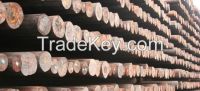 Power Poles; Pine Elliottii Wooden Poles, Pine Taeda Wooden Poles, Pine Hondurensis Wooden Poles, Pine Caribea Wooden Poles, Eucalyptus Grandis Wooden Poles, Eucalyptus Globulus Wooden Poles, Eucalyptus Dunni Wooden Poles etc for sale