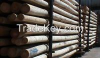 Pulp Poles: Pine Elliottii Wood Poles, Pine Taeda Wood Poles, Pine Hondurensis Wood Poles, Pine Caribea Wood Poles, Eucalyptus Grandis Wood Poles, Eucalyptus Globulus Wood Poles, Eucalyptus Dunni  Wood Poles for sale