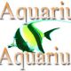 Aquarius Aquariums