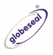 Globe Star Engineering India Pvt. Ltd.