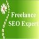 Freelance SEO Expert