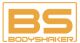 BodyShaker International