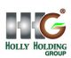 Hollyholding Group Of company