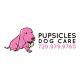 Pupsicles Dog Care