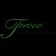 Torovo Industry Group Limited
