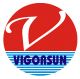Jiashan Vigorsun Electronics Co.,Ltd.