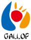 Shandong Gallop Bioengineering Co Ltd