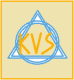 KVS Exim India Pvt Ltd