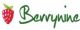 Hebei Berry Nine Agricultural Science and Technology Co., Ltd