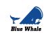 Hebei blue whale Import & Export Trade Co., Ltd