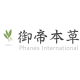 Phanes International Limited