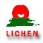 Shandong Lichen Group Co., Ltd